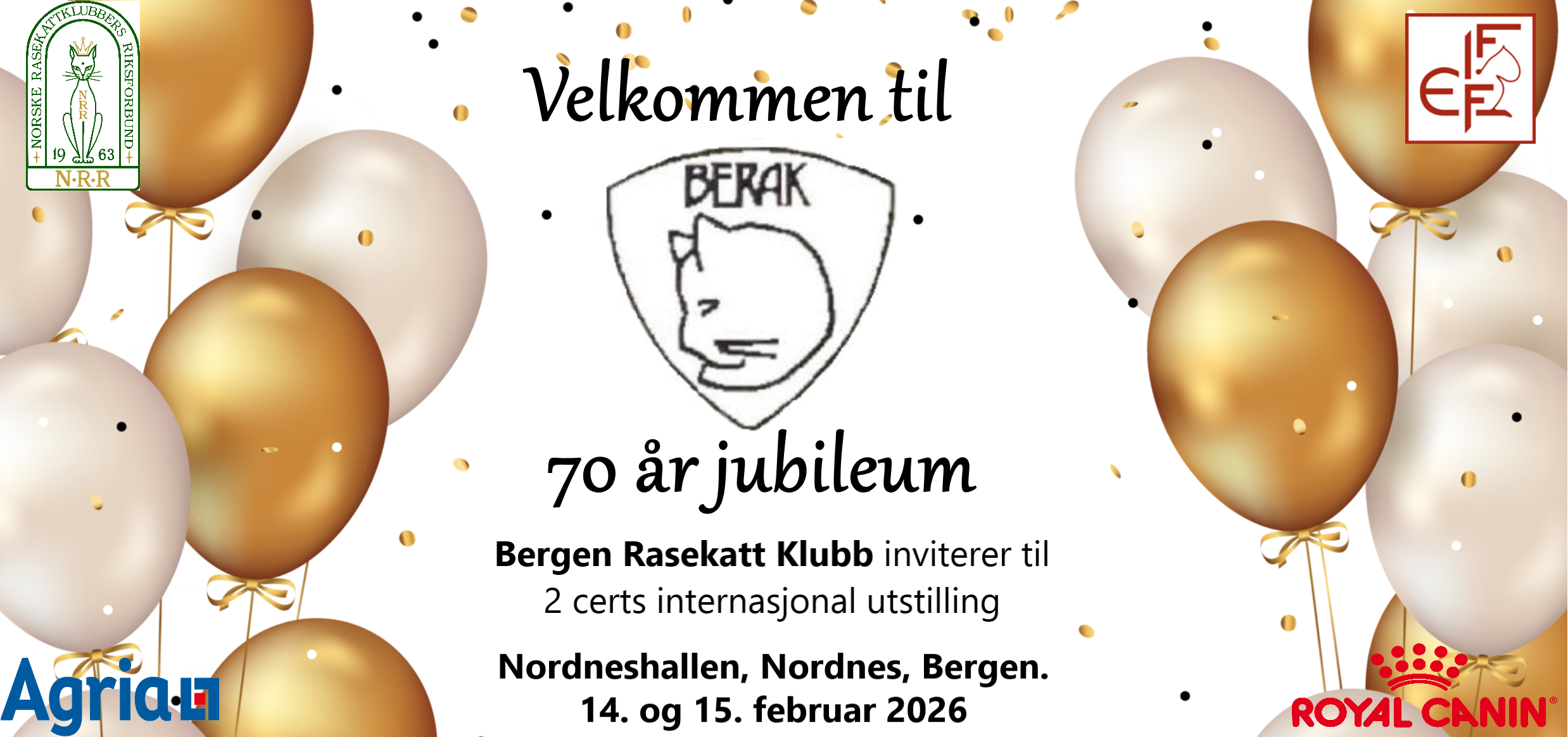 Jubileumutstilling februar 2026